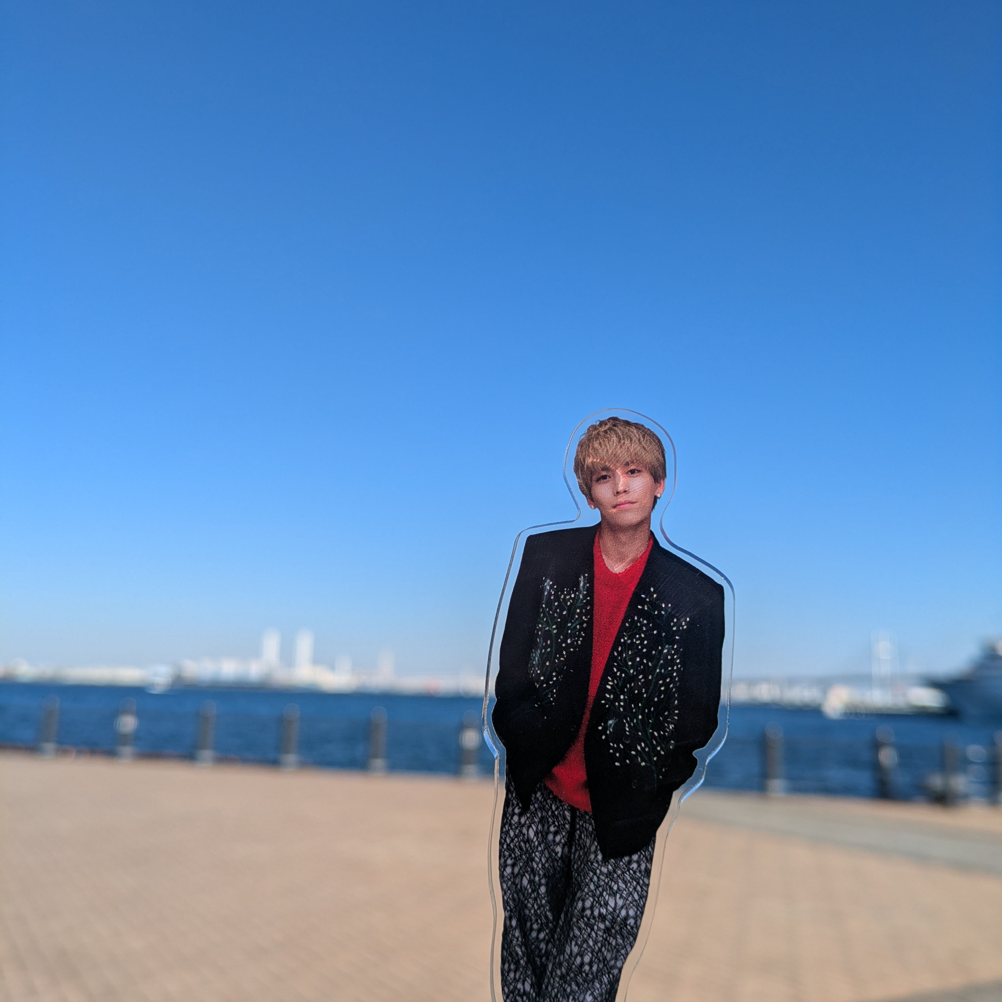 赤レンガ倉庫横の広場から見た海